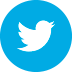 Twitter Apple Watch Store
